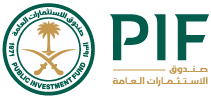 Public Investment Fund